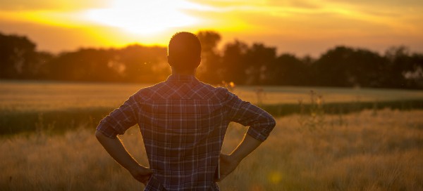 Were Your Crops Damaged by Dicamba? Here Are Your Legal Options