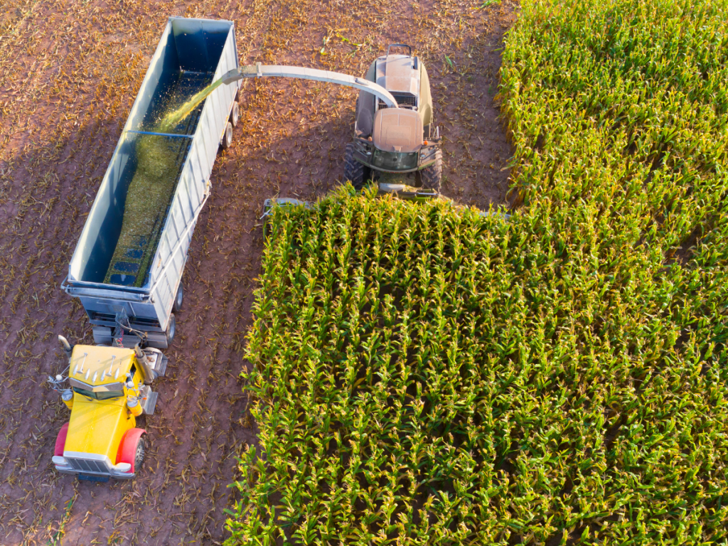 Common Types & Causes Of Serious Farm Injuries